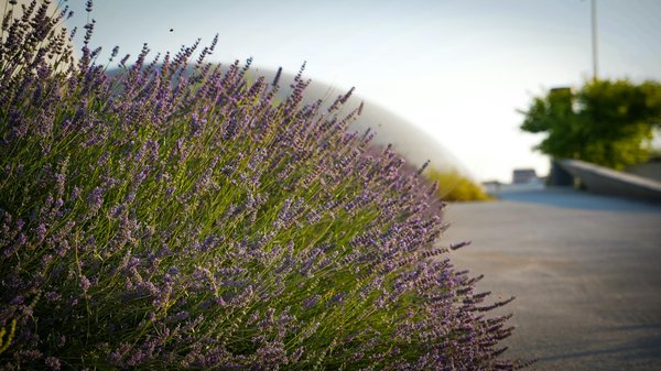 Article invité: Partage d'expérience d'un déménagement tout inclus